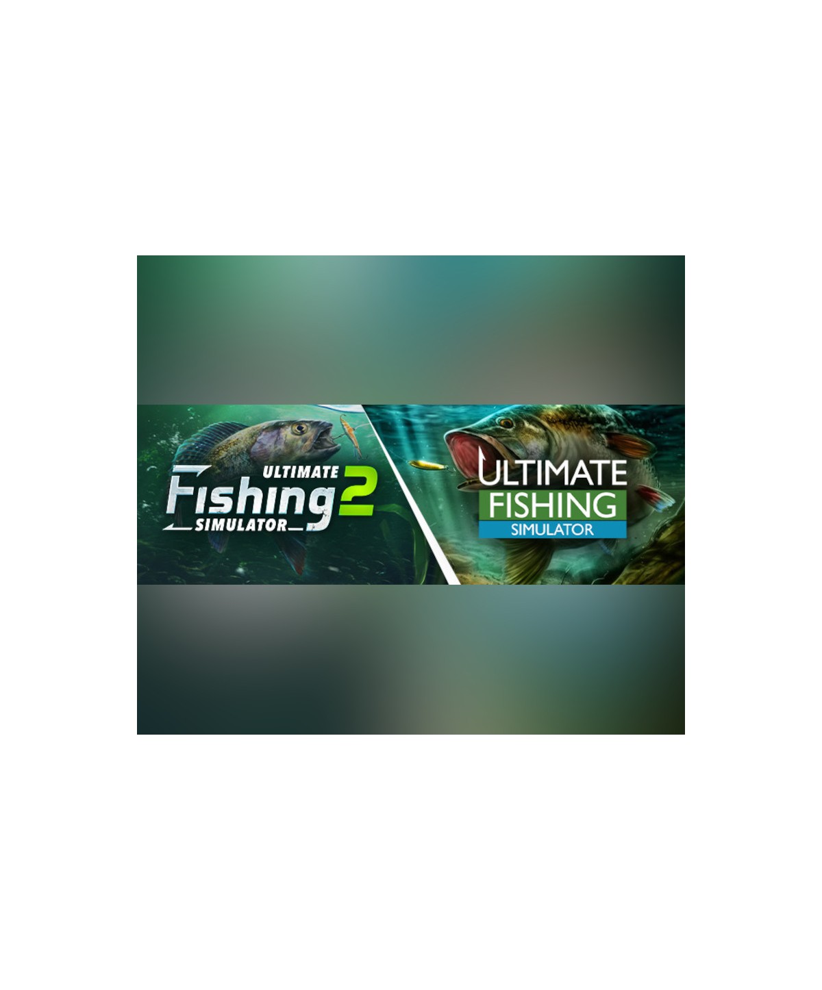 Ultimate Fishing Series Bundle Steam Key GLOBAL